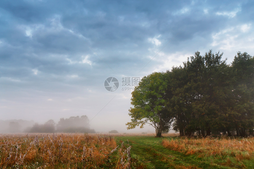 阴云密布的天空多云的秋雾早晨秋天的景象片长满橡树的草地上图片