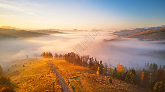 日出喀尔巴阡山景观雄伟的高清图片