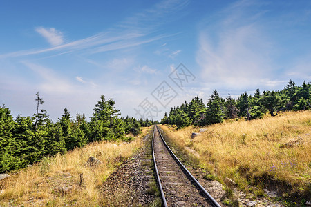 草原景观与铁路蓝天下与绿色松树图片