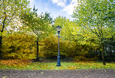 秋天的风景与复古的路灯公园与五颜六色的叶子秋天图片