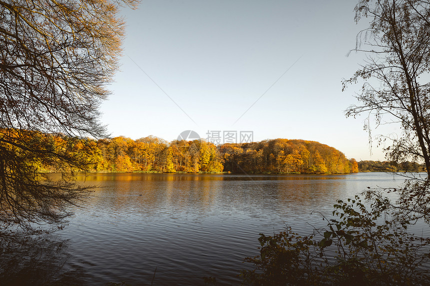 秋天的湖被五颜六色的秋天的树木包围着图片