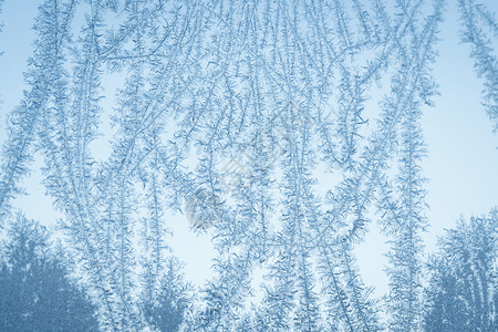 个寒冷的早晨,十月窗户上的霜片图案图片