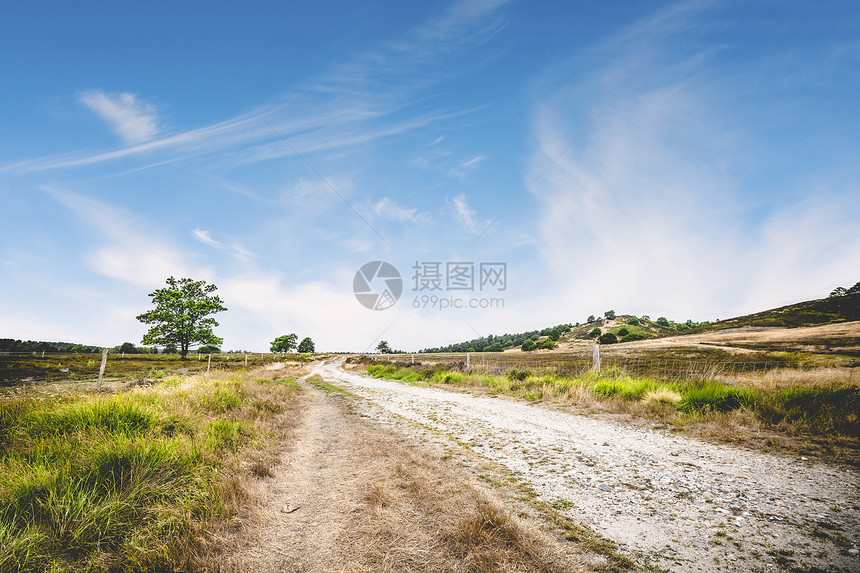 泥土路与绿草路边的蓝天下的夏天图片