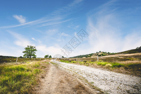 泥土路与绿草路边的蓝天下的夏天图片