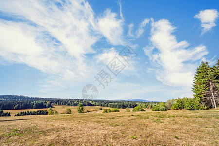 干燥的平原山坡上,夏天,蓝色的天空下,哈兹,德国图片