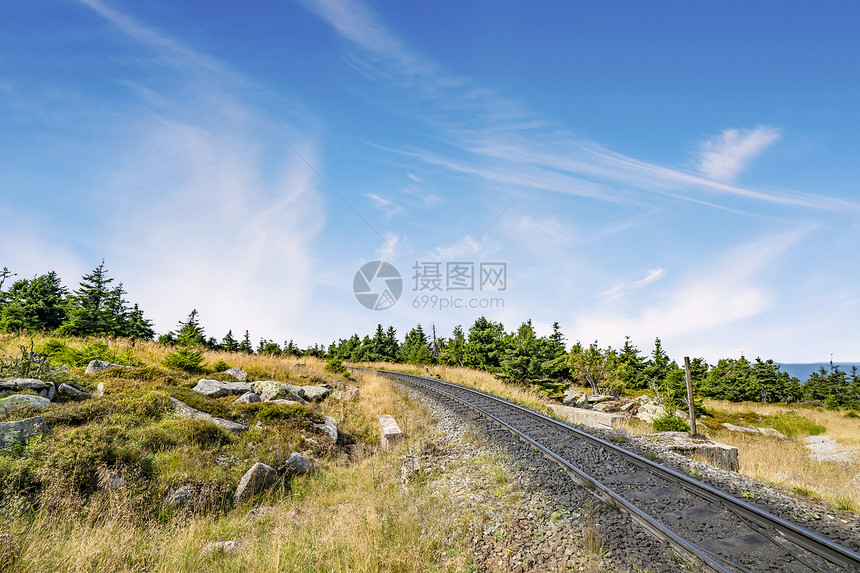 铁路轨道干燥的自然景观与绿色松树夏天图片