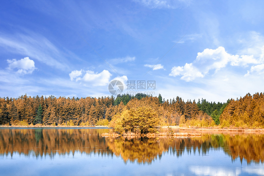 秋天的湖景夏天的蓝天下五颜六色的树图片