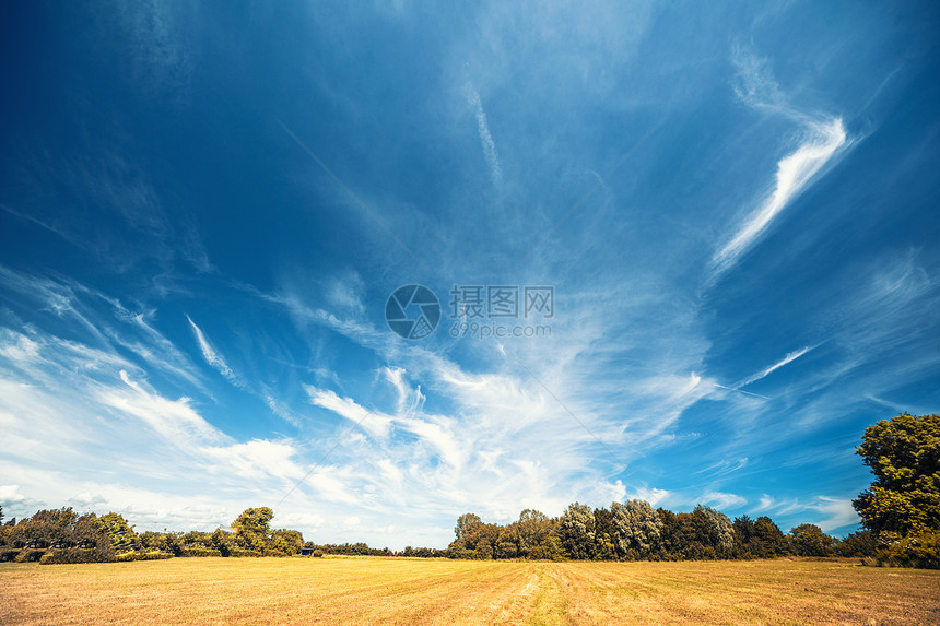 乡村景观与戏剧的蓝天干燥的田野夏末图片