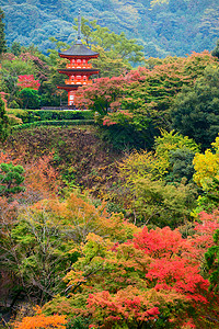 日本京都秋季清宫寺地区的科亚苏塔京都秋季宫祖德拉寺地区的科亚苏塔背景图片