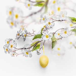春季开花枝条,白色墙壁背景悬挂黄色复活节彩蛋图片