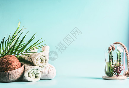 水疗背景卷毛巾,压缩球与椰子,棕榈叶各种肉质植物璃浅蓝色背景热带健康水疗治疗身体护理的背景图片