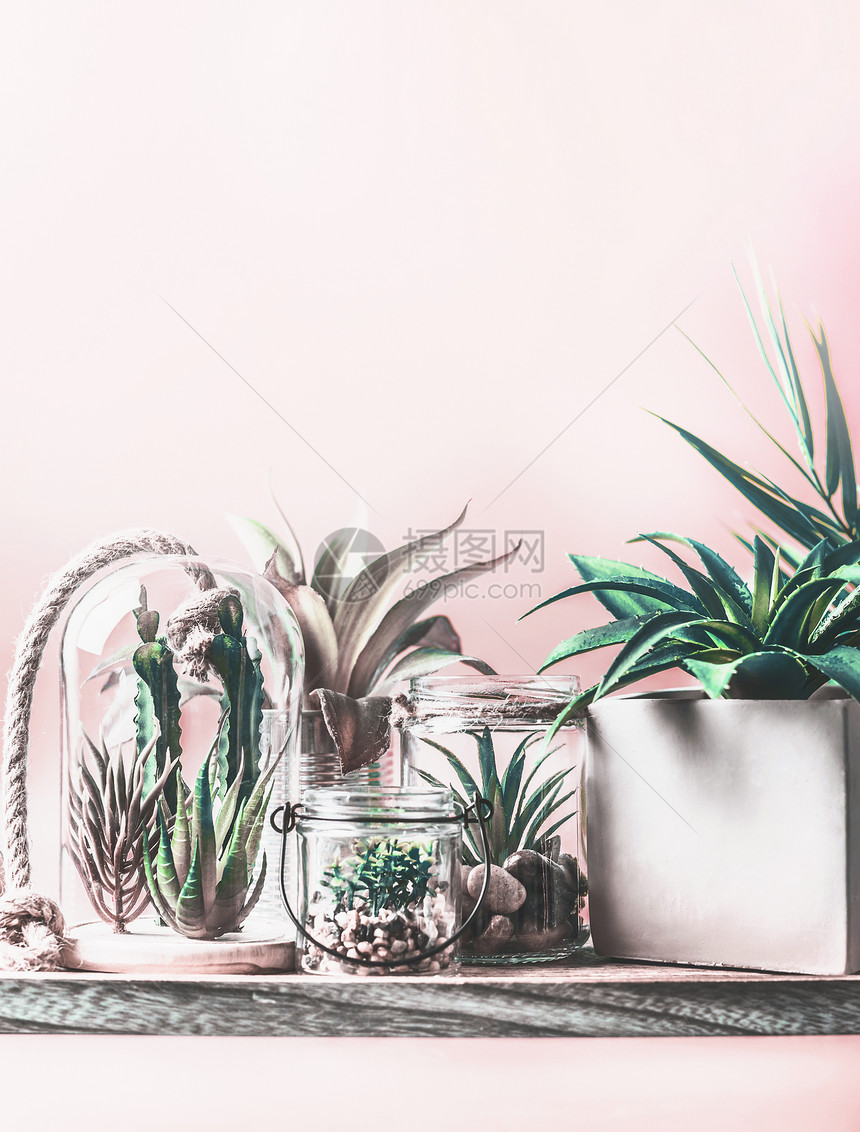 绿色的房子植物花盆璃水族馆桌子上的浅粉色背景各种肉质植物仙人掌植物璃碗中现代室内植物为您的图片