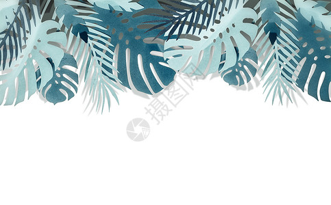 各种纸绿松石蓝色热带叶片边缘与阴影,孤立白色背景上图片