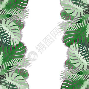 热带树叶框架由带阴影的纸船制成,孤立白色背景上奇异的叶子图片