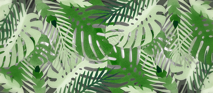 热带树叶背景与怪物棕榈叶,用造纸术制成丛林布局横幅背景图片