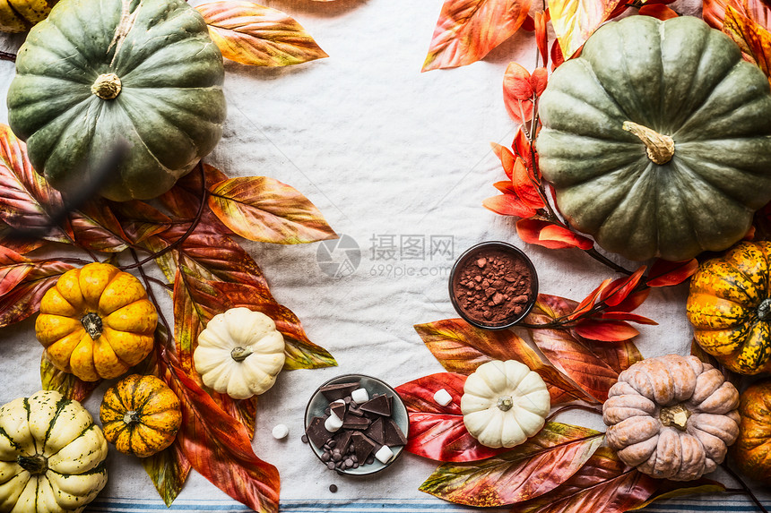 秋天的食物背景五颜六色的南瓜巧克力香料坚果秋叶,顶部景色秋天的静物与南瓜感恩节万节食谱平躺季节烹图片