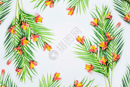 绿色热带棕榈叶奇异的花白色的背景上,顶部的景色框架平躺为您的图片