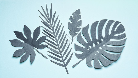 绿松石热带叶成的淡蓝色背景,顶部的景色,平躺创造的植物学布局图片