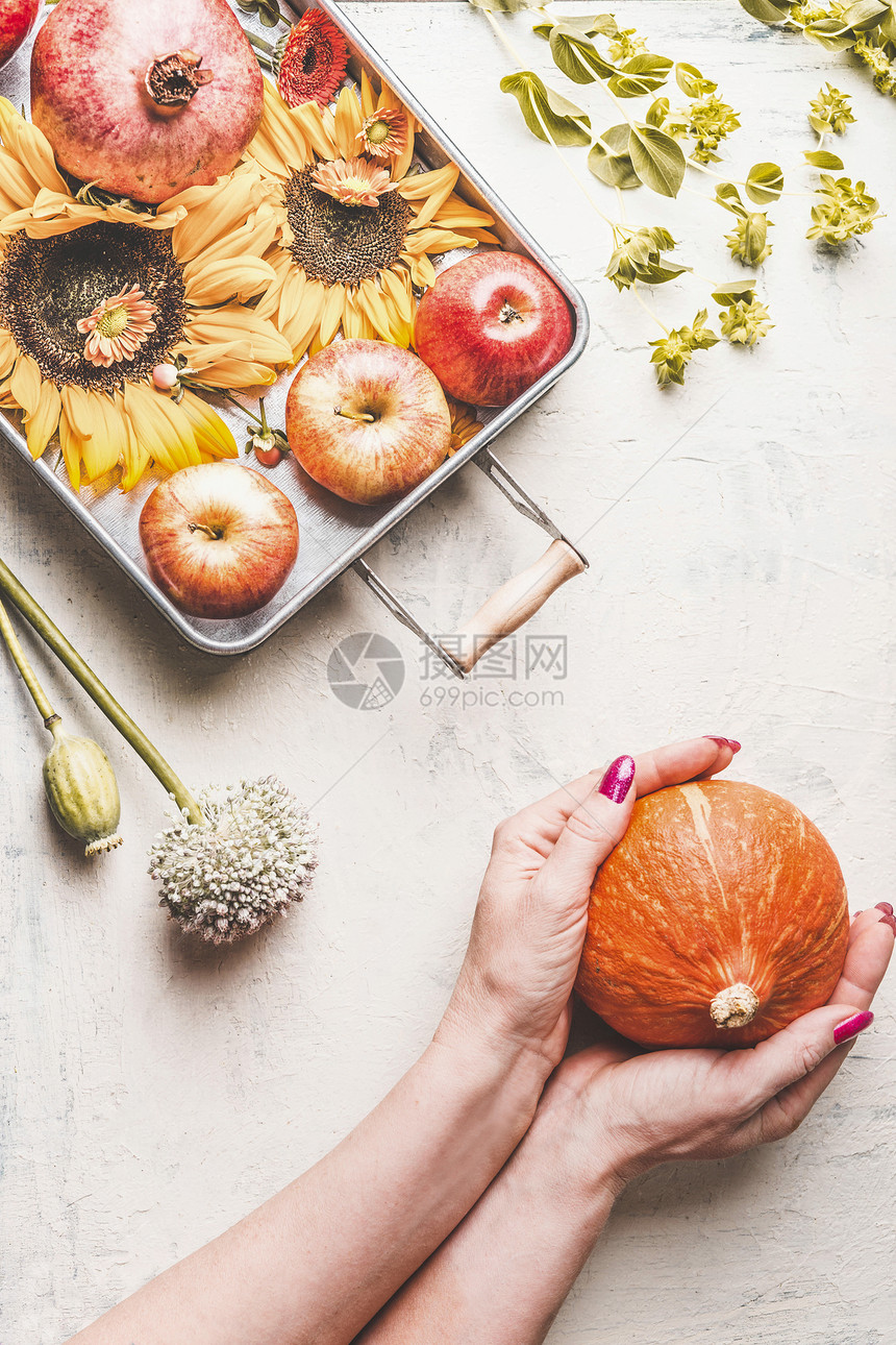 女人的手着南瓜白色的桌子上,向日葵苹果花叶子,风景图片