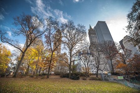 纽约市曼哈顿中央公园与摩天大楼图片