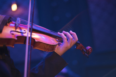 音乐会上的小提琴特写镜头高清图片