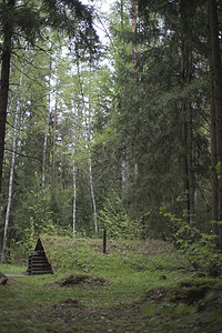 森林里的Dugout环保的房子图片