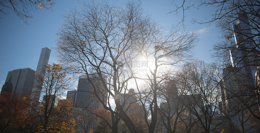 纽约市曼哈顿中央公园全景秋湖与摩天大楼五颜六色的树木与倒影图片