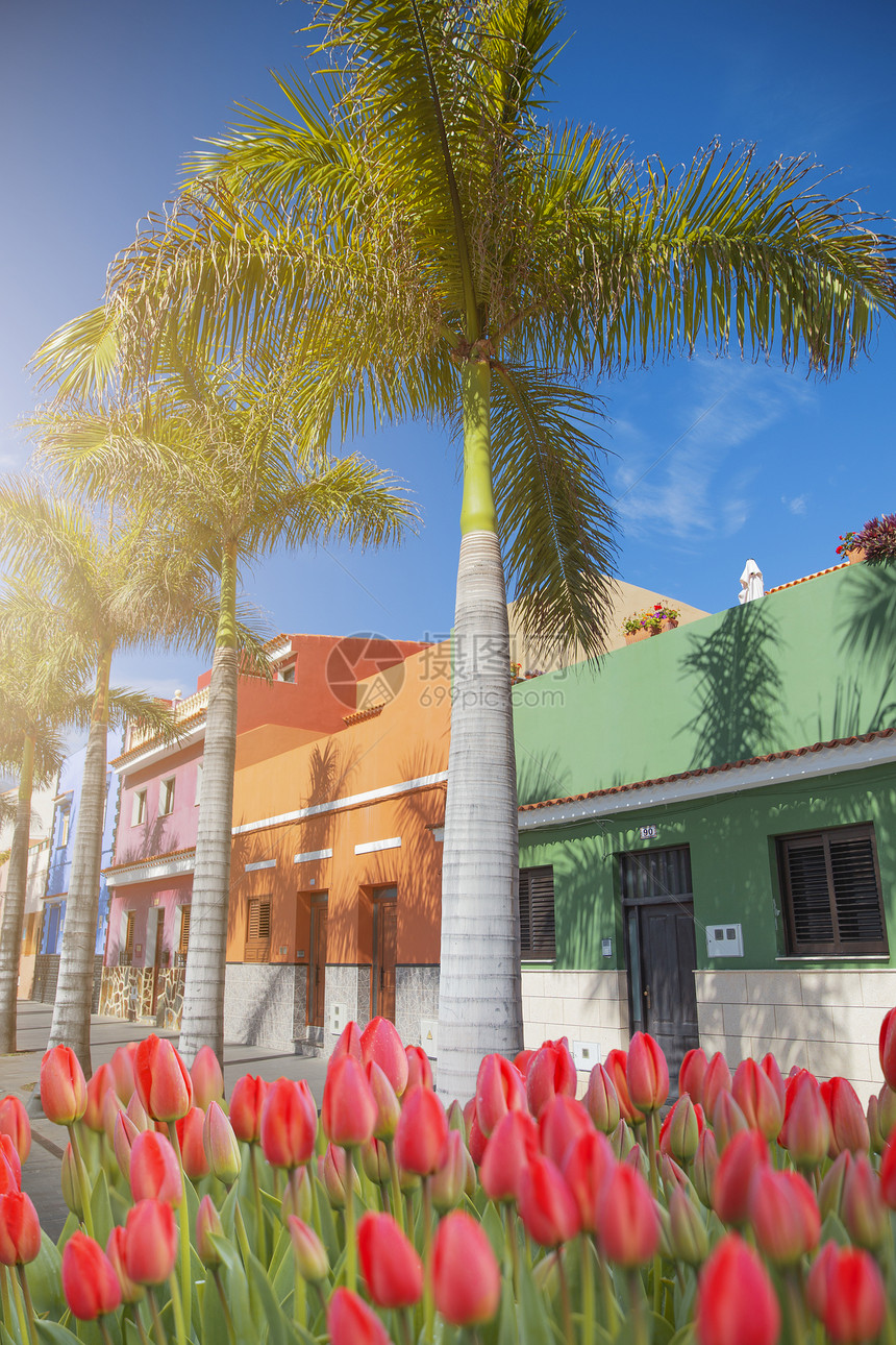 拉克鲁兹港岛上五颜六色的房子图片