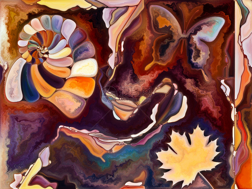 内部纹理系列以艺术自然创造力为的贝壳蝴蝶数字水彩的安排图片