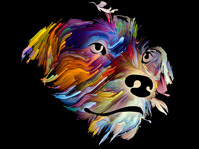黑色背景上的数字油颜色的狗数字肖像,爱友谊忠诚狗与人的友谊上帝保佑动物系列背景图片