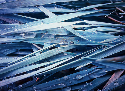 莫尔露水带水滴的新鲜蓝色草的抽象插图背景