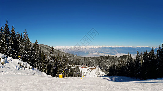 保加利亚斯科滑雪胜地的斜坡雪杉林晴朗的蓝天高清图片