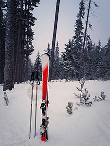 博尔迪安努下雪的山腰幸福的高清图片