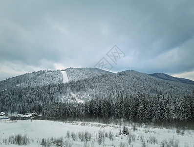 冬季景观与冷杉树雪中的山美丽的风景野外,喀尔巴阡山,乌克兰图片