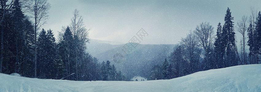 吉尔霍尔冬季冬季降雪时,冷冬天气下雪时,前景上雪杉树的蒙天森林的冬季全景冷色调处理冬天风景如画的场景背景