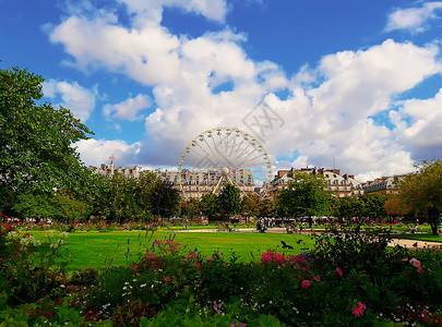 杜伊勒里图勒里花园的景观与摩天轮个阳光明媚的夏天,巴黎,法国背景
