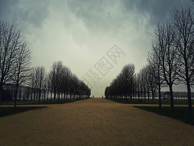 法国巴黎日耳曼恩莱耶宫花园里的裸树胡同寒冷而阴郁的冬季早晨,天空多云图片