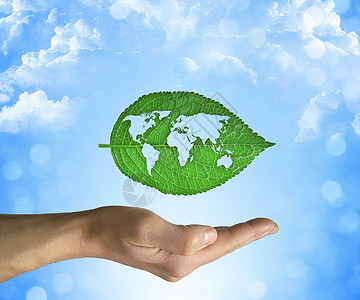 张开的手着片绿叶,蓝天背景上的世界生态世界图片