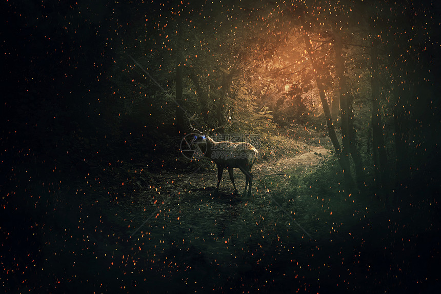 雄伟的鹿,蓝色的发光的眼睛长长的角,用大量的萤火虫火花守护着黑暗的森林神秘的野生场景屏幕保护程序图片