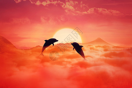 玩海豚两只嬉戏的海豚日落背景下云层上跳跃的轮廓超现实的野生生活景观场景屏幕保护程序背景
