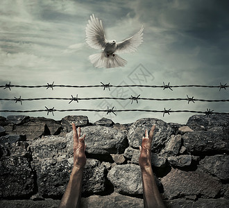 男人的手臂石墙栅栏的背景上,铁丝网,就像监狱里的囚犯只飞鸽上举手天空样需要宽恕解放平的背景图片