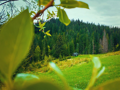 风景如画的春山景象与木屋小屋,透过绿化的树叶郁郁葱葱的牧场山谷上的所老房子,周围山上的松树林背景图片