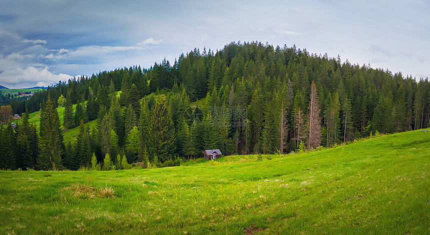 风景优美的喀尔巴阡山自然景观,山谷上的座老房子被山上的针叶林所包围阳光明媚的春天,绿色的草开花的草甸亚布隆尼亚,乌克兰图片