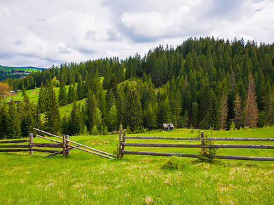 风景如画的春山景象与木制的分裂铁路围栏跨越个绿色郁郁葱葱的牧场,山谷上所老房子,周围针叶林背景图片