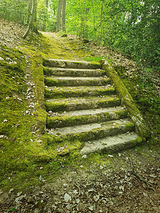 古老的石阶树林里被绿色的苔藓覆盖着神秘的童话场景与个古老的楼梯背景图片