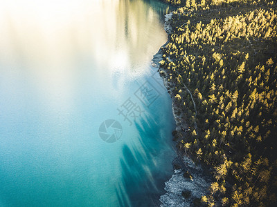 空中拍摄的树木个山湖背景图片