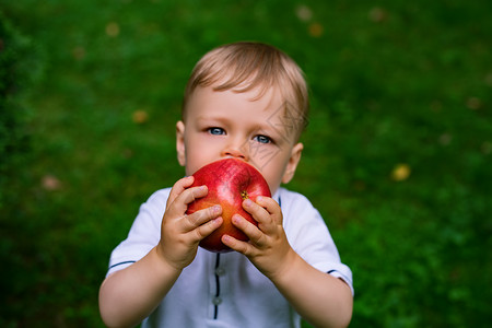 岁的孩子户外吃大红苹果专注于苹果孩子吃苹果图片