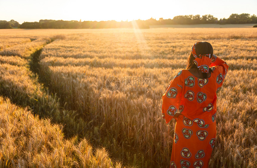 非洲妇女穿着传统的衣服站着,看着太阳,手着眼睛,日落日出时大麦小麦作物的田野里图片