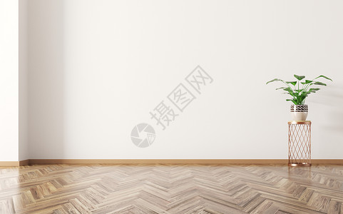 房间室内植物木地板上三维渲染图片