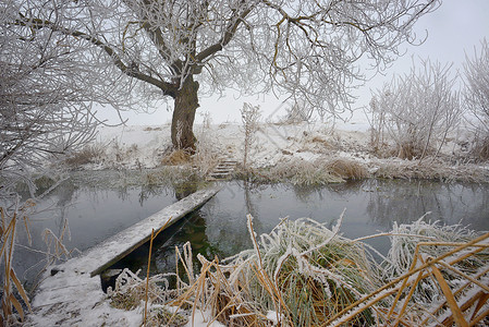 寒冷的冬天,乡村河流上的树木人行桥高清图片